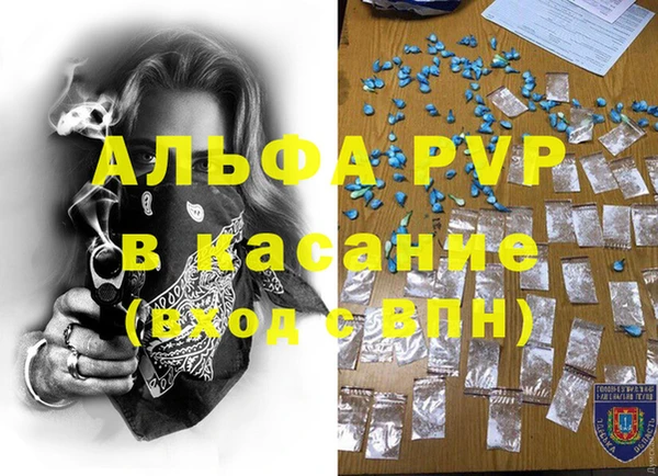 прущие грибы Ладушкин